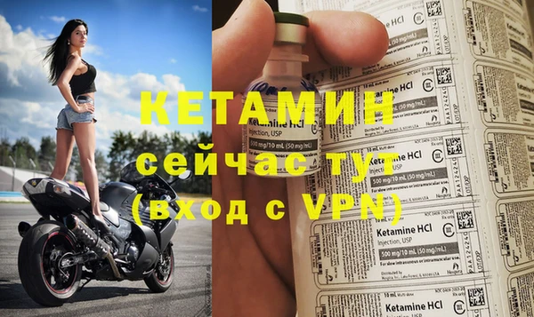 трава Дмитриев